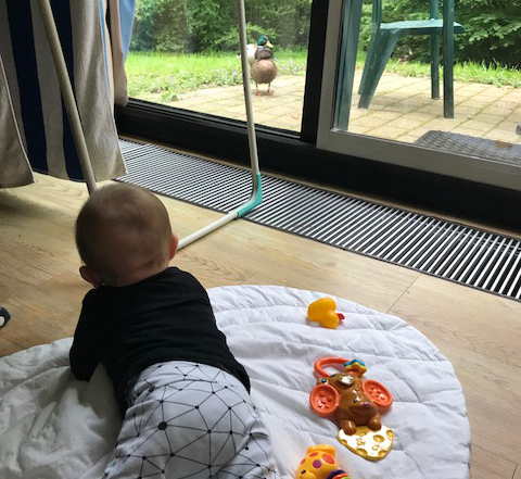 magnetron Langwerpig chirurg Weekend weg met een baby | Twinkelbella