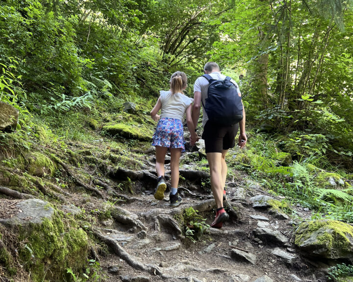 Tijdens onze vakantie in Les Houches hebben wij veel gewandeld in de bergen. 